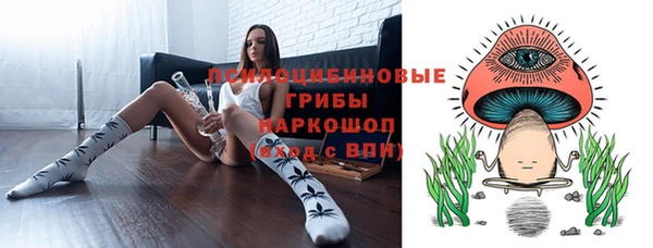 гашик Алексин