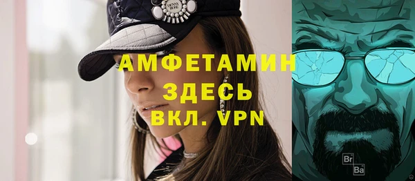 гашик Алексеевка
