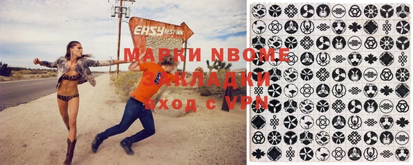 гашик Алексин