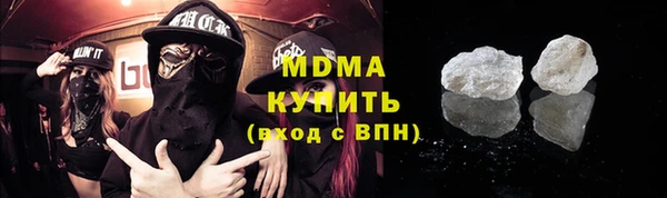гашик Алексин
