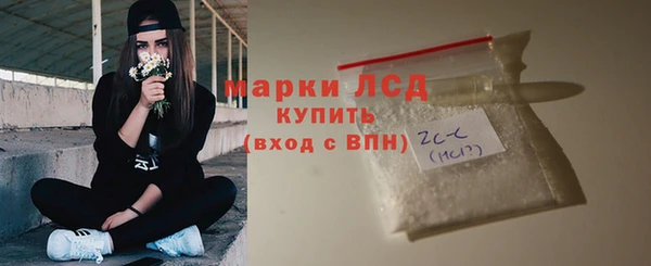 гашик Алексин
