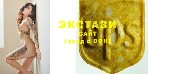 гашик Алексин