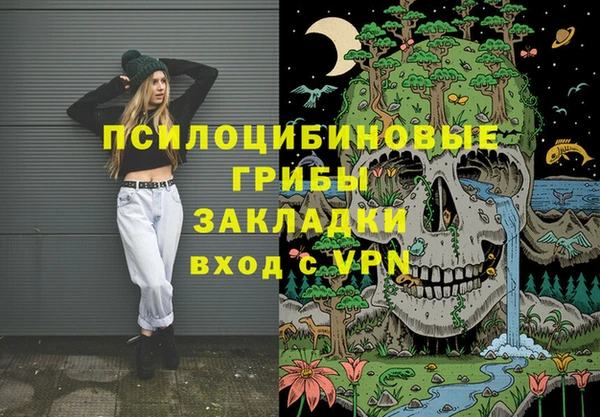 гашик Алексеевка