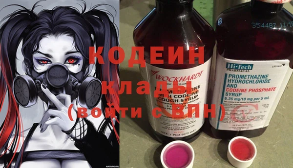гашик Алексин