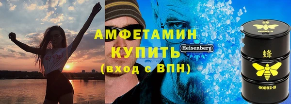 гашик Алексин