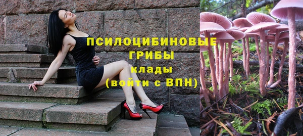 гашик Алексеевка