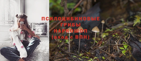 амф Пенза