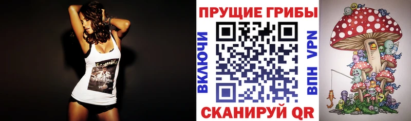 Псилоцибиновые грибы мухоморы  Сортавала 